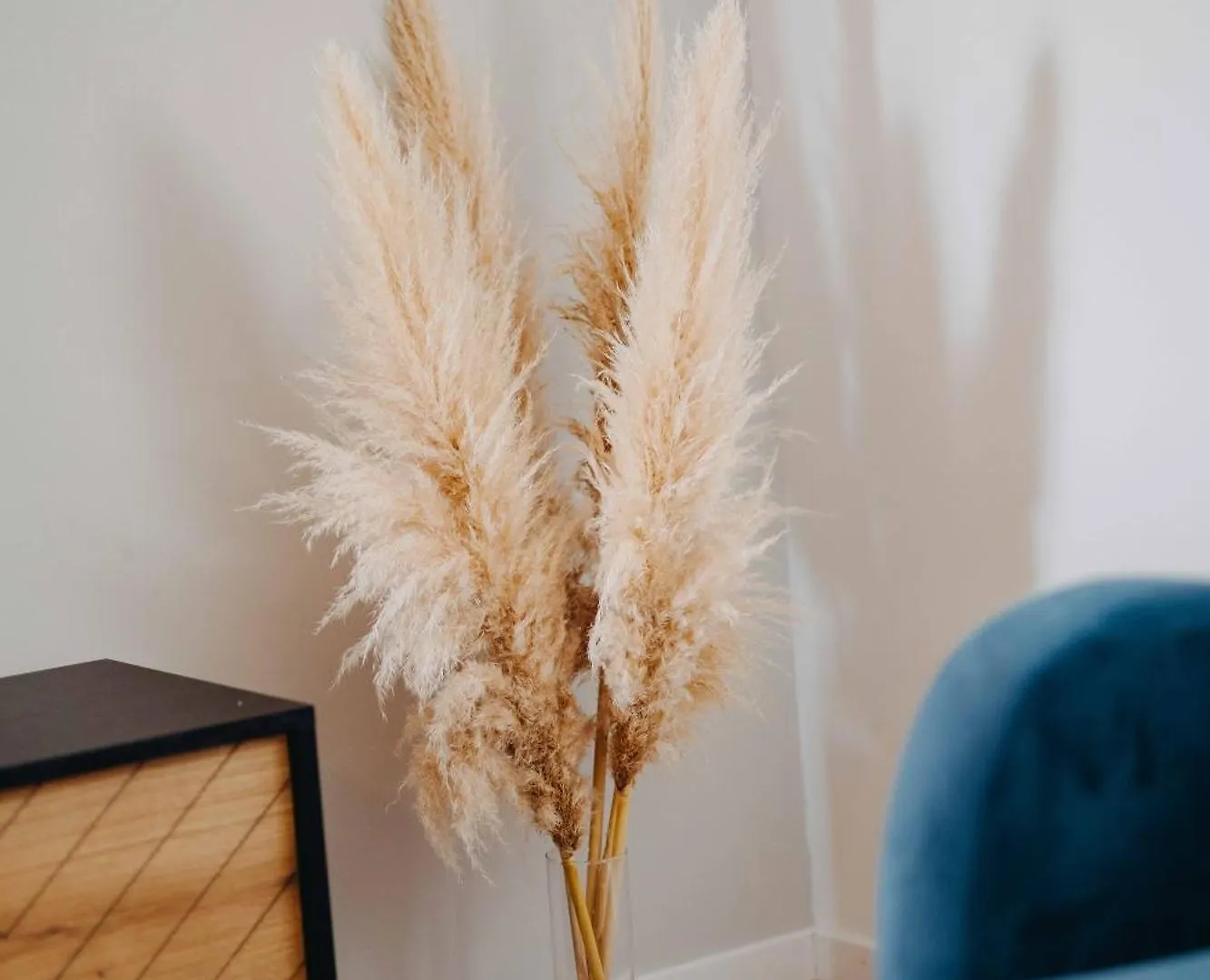 Seashell Appartement Split